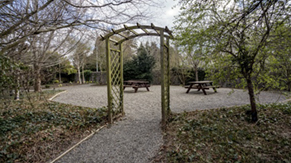 300 year old orchard situated at Blakestown House 3